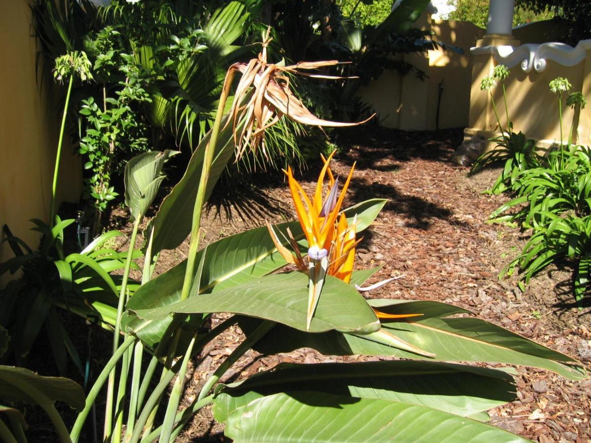 Ashanti Gardens Guesthouse Cape Town Exterior photo